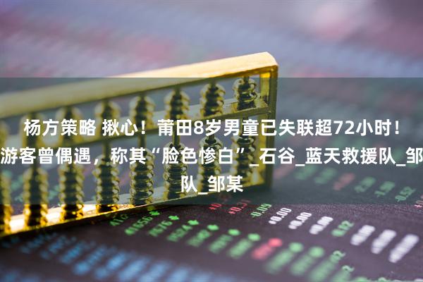 楊方策略 揪心！莆田8歲男童已失聯(lián)超72小時(shí)！有游客曾偶遇，稱其“臉色慘白”_石谷_藍(lán)天救援隊(duì)_鄒某