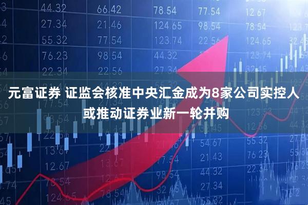 元富證券 證監(jiān)會核準(zhǔn)中央?yún)R金成為8家公司實控人 或推動證券業(yè)新一輪并購
