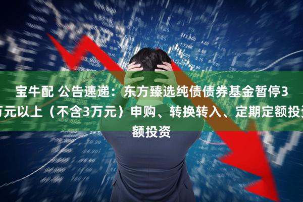 寶牛配 公告速遞：東方臻選純債債券基金暫停3萬元以上（不含3萬元）申購、轉(zhuǎn)換轉(zhuǎn)入、定期定額投資
