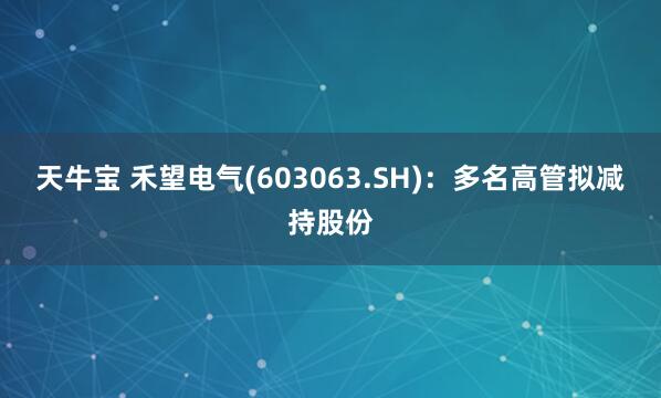 天牛寶 禾望電氣(603063.SH)：多名高管擬減持股份