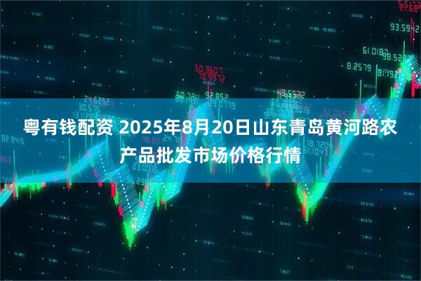 粵有錢(qián)配資 2025年8月20日山東青島黃河路農(nóng)產(chǎn)品批發(fā)市場(chǎng)價(jià)格行情