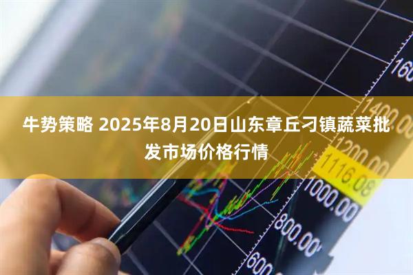 牛勢策略 2025年8月20日山東章丘刁鎮(zhèn)蔬菜批發(fā)市場價格行情