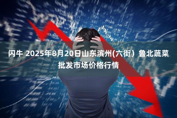 閃牛 2025年8月20日山東濱州(六街）魯北蔬菜批發(fā)市場(chǎng)價(jià)格行情