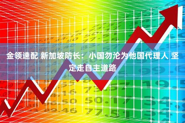 金領速配 新加坡防長：小國勿淪為他國代理人 堅定走自主道路